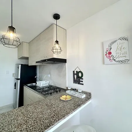 Furnished In Acuarium Apartment *
